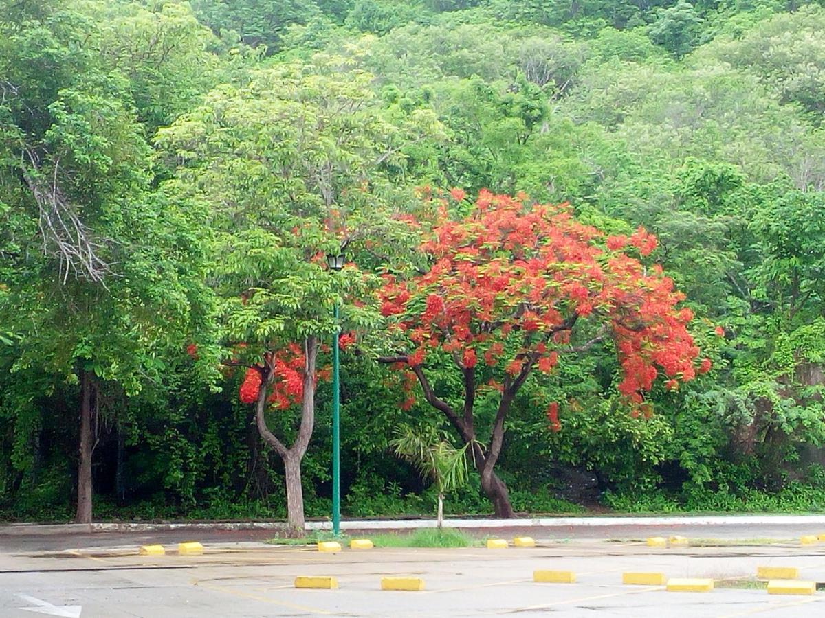 Apartament Camino Al Mar Santa Cruz Huatulco Zewnętrze zdjęcie
